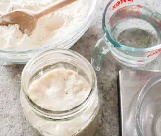 Sourdough starter