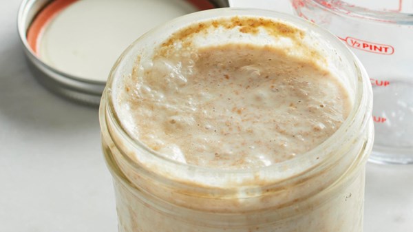 Sourdough starter