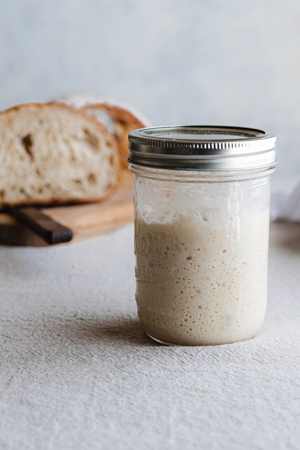 Sourdough starter