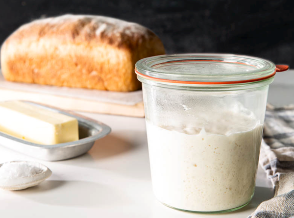Sourdough starter
