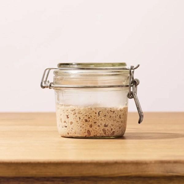 Sourdough starter