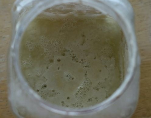 Sourdough starter