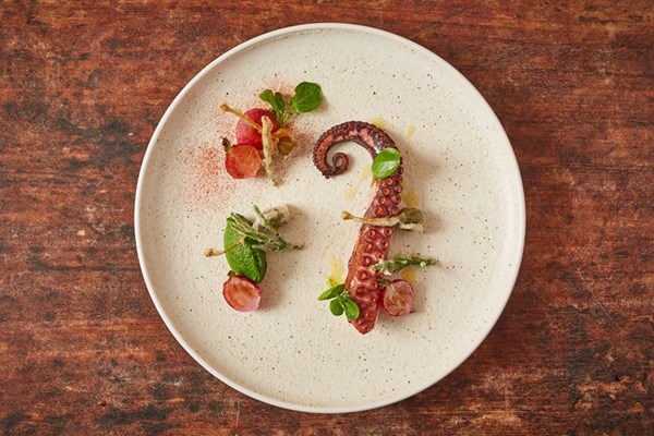  Sous vide Galician octopus with watercress, radish and samphire tempura