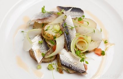 Soused herring with heritage potato, celery salad and bloody Mary sauce