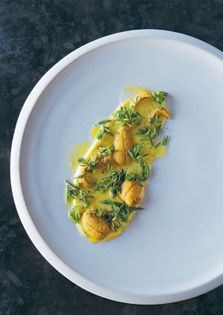 Soused mackerel, burnt apple and dill