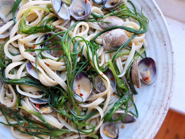 Spaghetti with agretti, clams and white miso
