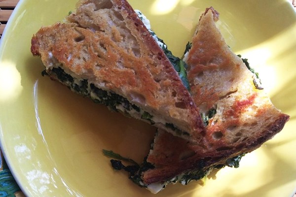 Spanakopita grilled cheese (Spanakopita tost)