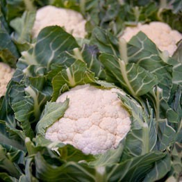 Spanish crisp cauliflower