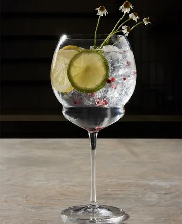 Spanish gin tonic (Gin tonic Español)