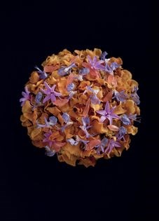 Spanner crab with saikyo miso mousse, pomelo, fried garlic and rosemary and garlic flowers