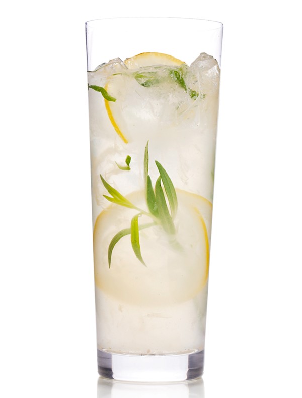Sparkling tarragon-gin lemonade