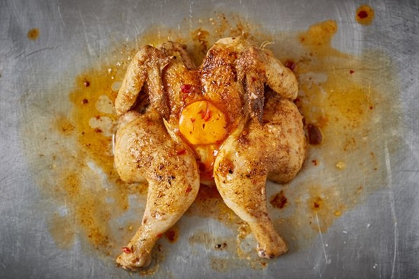 Spatchcocked poussin with fermented chilli bean butter