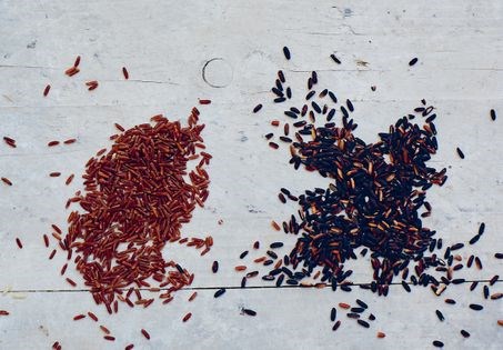 Spice rice