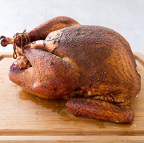 Spice-rubbed grill-roasted turkey