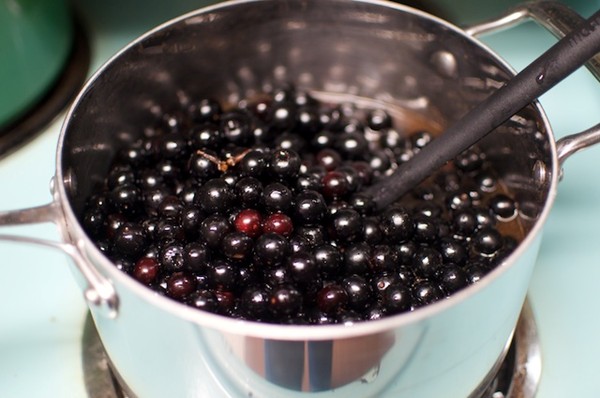Spiced blueberries