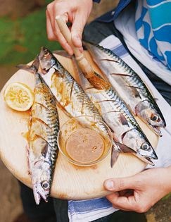 Spiced grilled mackerel