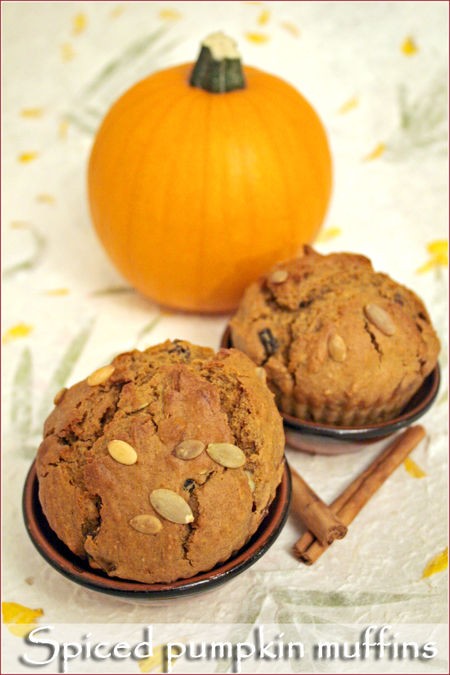 Spiced pumpkin muffins