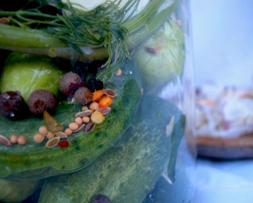 Spiced sour pickles with garlic and dill