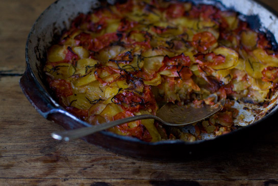 Spiced tomato gratin
