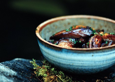 Spicy glazed eggplant