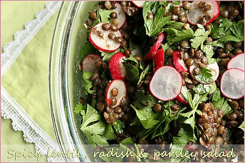 Spicy lentil, radish and parsley salad