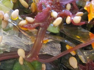Spicy sea vegetable salad (Hóngyóu hǎicài shālā / 紅油海菜沙拉)