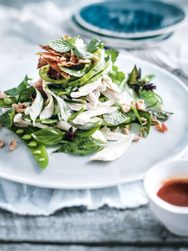 Spicy shredded chicken salad