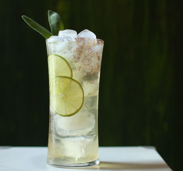 Spicy shrub paloma