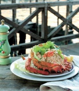 Spider crab (Granseola in bella vista)