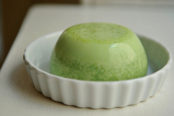 Spinach and garlic panna cotta