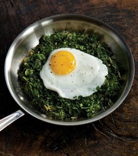 Spinach Narcissus (Nargesi-ye esfenaj)