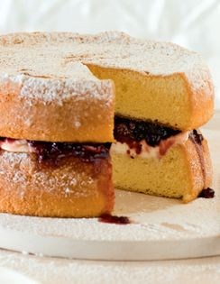 Sponge cake