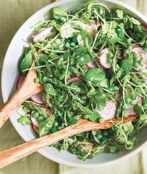 Spring green salad