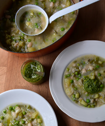 Spring minestrone