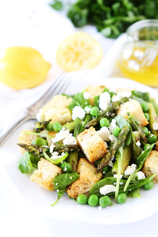 Spring panzanella salad