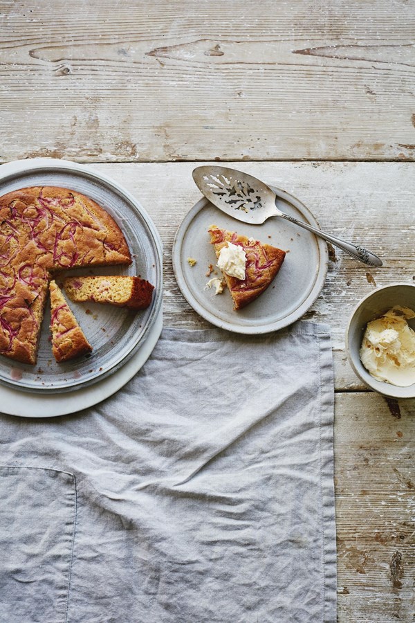 Spring rhubarb, almond and blood orange cake