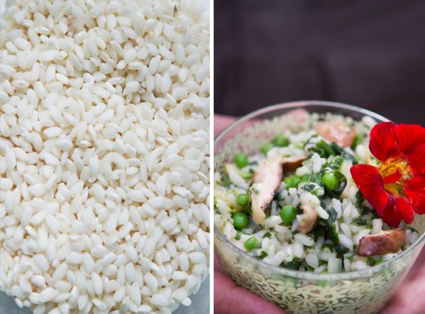 Spring risotto
