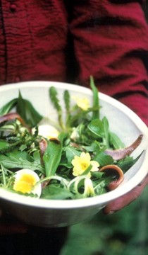 Spring salad (Insalata primaverile)