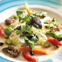 Spring salad with early vegetables, baby lettuces & blood orange vinaigrette