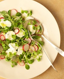 Spring salad with fresh mozzarella