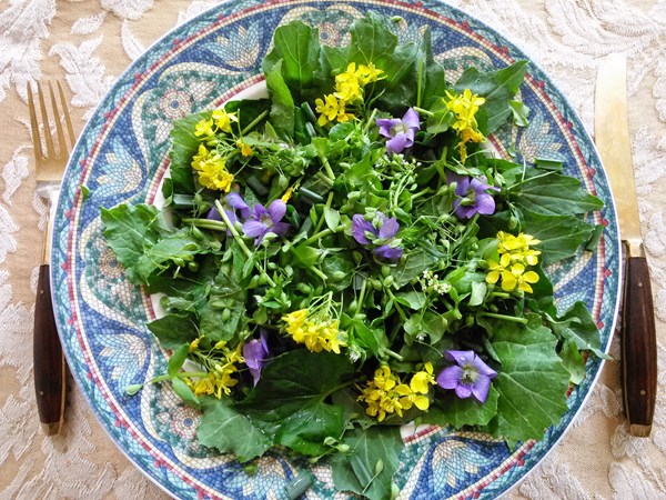 Spring salad with wild edibles