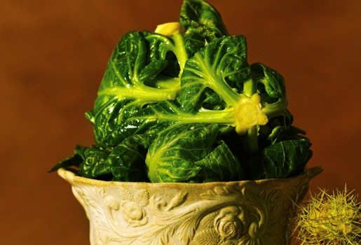 Sprout tops