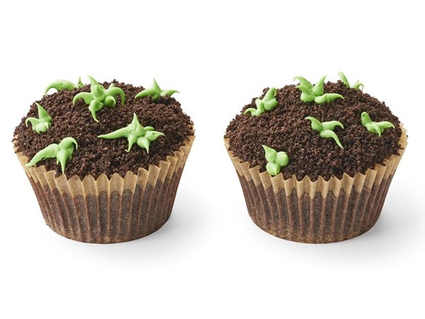 Sprouting brownie cupcakes 