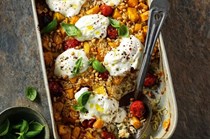 Squash & cherry tomato baked rice with pine nuts and burrata