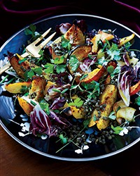 Squash, apple and warm lentil salad
