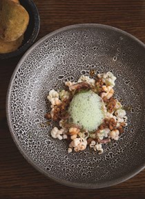 Squid Bolognese