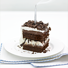 Squidgy chocolate cake