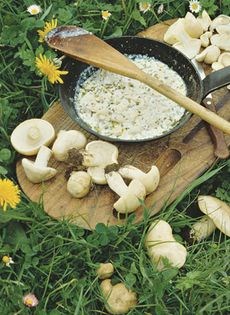 St George’s mushroom