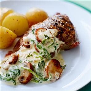 Steak and creamy mushrooms