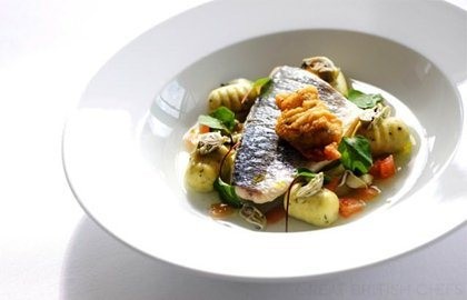 Steamed fillet of sea bream with a nage of Cornish oyster, tomatoes and cucumber and herb gnocchi